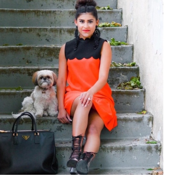 Victoria Beckham Scallop Trim Ruffle Dress - Picture 3 of 11